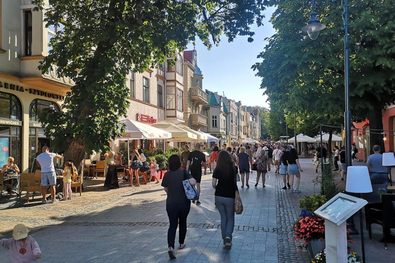 Lux Apartament Oliwa Park Gdansk Przymorze Blisko Plaza Jelitkowo I Sopot Διαμέρισμα Εξωτερικό φωτογραφία